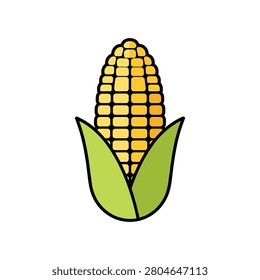 Fresh sweet corn cob with husk vector illustration vegetable agriculture nutrition ingredient illustration