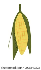 Fresh sweet corn in doodle style. Hand drawn vector illustration on white background.