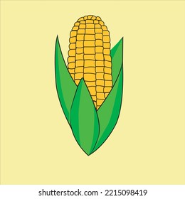 fresh sweet corn isolated illustration