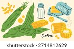 Fresh sweet Corn on the cob, green leaves, deliciously boiled, grilled corn. Corn kernels seeds, salt shaker, butter, knife, pop corn. Hand drawn Vector illustration. Isolated design elements 