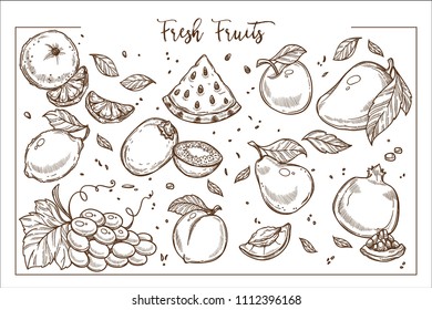 Fresh sweet fruit whole and slices monochrome collection