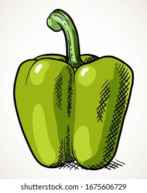 Pimienta verde dulce fresca. Elemento de diseño vegetal para el mercado agrícola, receta de comida vegetariana. Ilustración vectorial aislada sobre blanco.