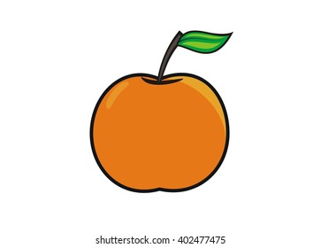 fresh sweet orange 