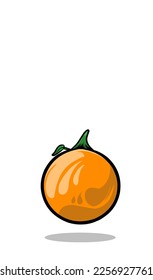 fresh sweet orange fruit vector