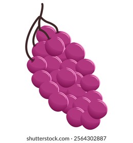 fresh and sweet Purple Grape vector illustration image, fresh and healthy, ideal for food, health or tropical themed designs, flat design