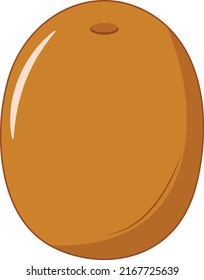 Fresh and Sweet Sapodilla Vector Illustration
