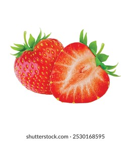 Fresh sweet strawberries. Halved and whole red berries. Vector illustration.