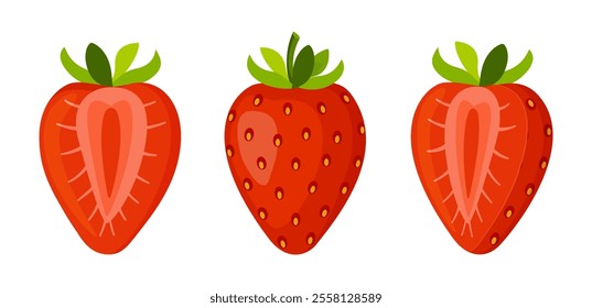 Fresh sweet strawberries. Halved and whole Red berries. Hand drawn summer strawberry trendy flat style isolated for design. Vector illustration