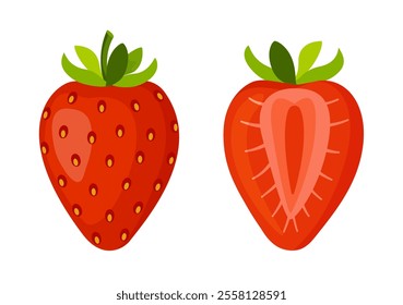 Fresh sweet strawberries. Halved and whole Red berries. Hand drawn summer strawberry trendy flat style isolated for design. Vector illustration