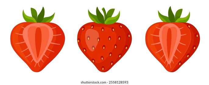 Fresh sweet strawberries. Halved and whole Red berries. Hand drawn summer strawberry trendy flat style isolated for design. Vector illustration