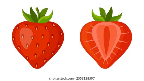 Fresh sweet strawberries. Halved and whole Red berries. Hand drawn summer strawberry trendy flat style isolated for design. Vector illustration