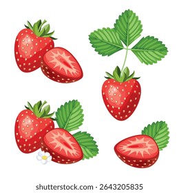 Fresh sweet strawberries set. Halved, sliced, cutted and whole Red berries with green leafs.Hand drawn summer strawberry trendy flat style isolated for design. Vector illustration on white background.