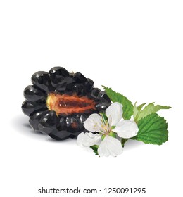 Fresh, sweet and tasty blackberry. Blooms of blackberries. Symbols of berries. Elements for label design. Vector illustration. Berries ingredients in triangulation technique. Blackberry low poly.