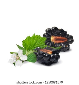 Fresh, sweet and tasty blackberry. Blooms of blackberries. Symbols of berries. Elements for label design. Vector illustration. Berries ingredients in triangulation technique. Blackberry low poly.