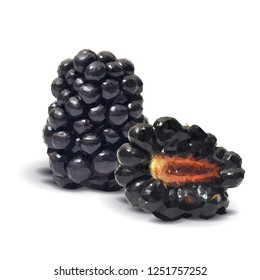 Fresh, sweet and tasty blackberry. Blooms of blackberries. Symbols of berries. Elements for label design. Vector illustration. Berries ingredients in triangulation technique. Blackberry low poly.