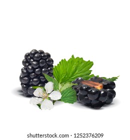 Fresh, sweet and tasty blackberry. Blooms of blackberries. Symbols of berries. Elements for label design. Vector illustration. Berries ingredients in triangulation technique. Blackberry low poly.