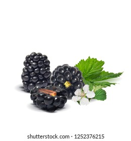 Fresh, sweet and tasty blackberry. Blooms of blackberries. Symbols of berries. Elements for label design. Vector illustration. Berries ingredients in triangulation technique. Blackberry low poly.
