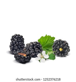 Fresh, sweet and tasty blackberry. Blooms of blackberries. Symbols of berries. Elements for label design. Vector illustration. Berries ingredients in triangulation technique. Blackberry low poly.
