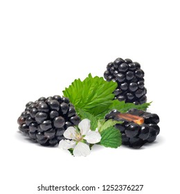 Fresh, sweet and tasty blackberry. Blooms of blackberries. Symbols of berries. Elements for label design. Vector illustration. Berries ingredients in triangulation technique. Blackberry low poly.