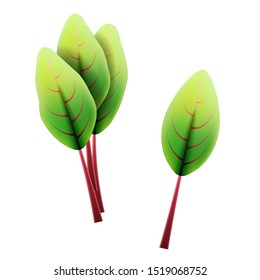 Fresh swiss chard leaf. 3D realistic vector set beet leaves. Healthy aroma. Isolated on white background. Herbs and spices kitchen set. Vector illustration