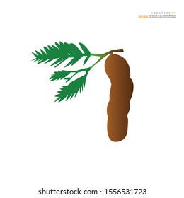 Fresh tamarind isolated on white background. Vector illustration.