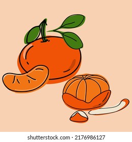 
Fresh tangerine Whole and sliced ​​fruits with green leaves. Set of hand drawn fresh citrus fruits.
Vector illustration in doodle style