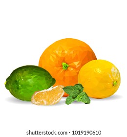 Fresh tangerines and orange, nutritious lemon and tasty lime. Symbols of fruits. Vector illustration. Fruits ingredients in triangulation technique. Fruits low poly.