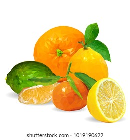 Fresh tangerines and orange, nutritious lemon and tasty lime. Symbols of fruits. Vector illustration. Fruits ingredients in triangulation technique. Fruits low poly.