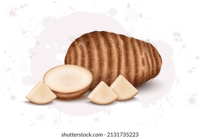 Fresh taro root vector illustration with taro root vegetable slices