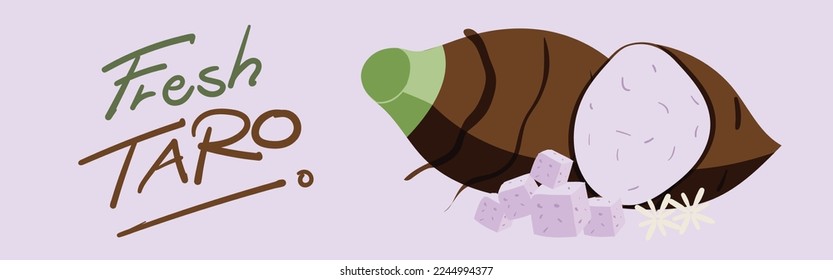 Ingrediente natural vector Taro fresco