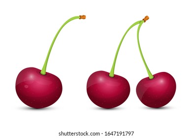 Fresh and tasty cherry vector design illustration isolated on white background