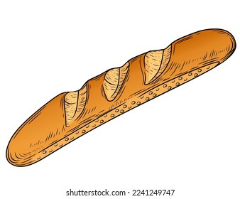 Fresh tasty french baguette hand drawn style vector illustration isolated on white background