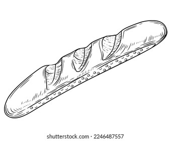 Fresh tasty french baguette hand drawn style vector illustration isolated on white background