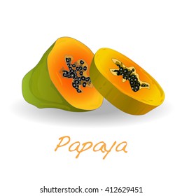 Fresh and tasty papaya vector isolated
