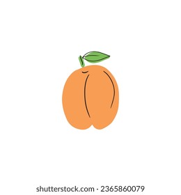 Fresh tasty peach apricot fruit with leaf isolated on white background. Hand drawn vector flat illustration in sketch style. Concept of garden, wine, harvest, crop, yield, healthy nutrition, vitamins