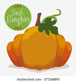 Fresh and tasty pumpkin and a green label with sale message isolated in white background.
