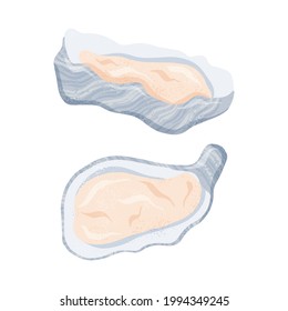 Fresh tasty seafood clams, oysters in seashells vector hand drawn illustration isolated on white background. Set of colorful oysters, sea products for restaurant or marine cafe menu design.