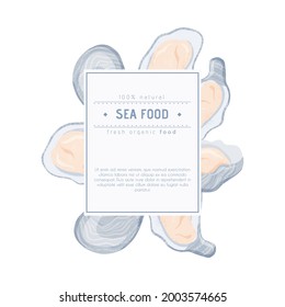 Fresh tasty seafood clams, oysters in seashells vector hand drawn label concept with space for text. Colorful oysters, sea products for restaurant or marine cafe logo design.