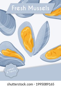 Fresh tasty seafood clams, shellfish in seashells vector hand drawn poster design with text space. Colorful mussels, sea products for restaurant or marine cafe banner concept.