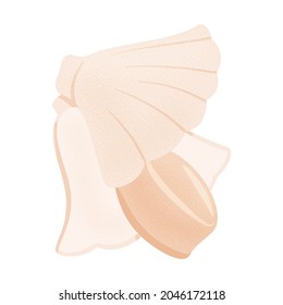 Fresh tasty seafood, scallop in seashell vector hand drawn illustration isolated on white background. Colorful sea product for restaurant or marine cafe menu design.
