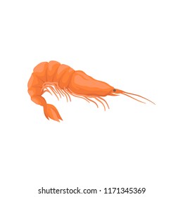 Fresh and tasty shrimp. Boiled prawn with bright red shell and long claws. Flat vector for cafe menu or advertising poster