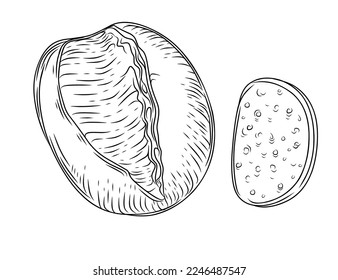 Fresh tasty white bread hand drawn style vector illustration isolated on white background