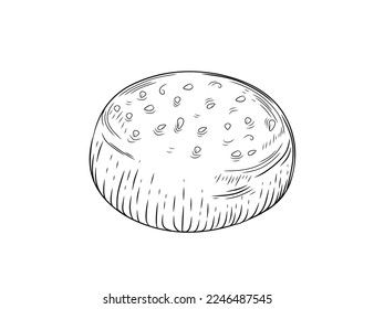 Fresh tasty white burger bun with sesame hand drawn style vector illustration isolated on white background