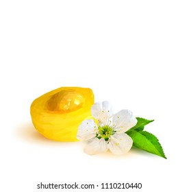 Fresh and tasty yellow cherries. Bloom of cherries. Symbols of berries. Elements for label design. Vector illustration. Berries ingredients in triangulation technique. Yellow cherries low poly.
