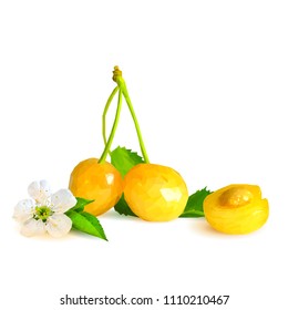 Fresh and tasty yellow cherries. Bloom of cherries. Symbols of berries. Elements for label design. Vector illustration. Berries ingredients in triangulation technique. Yellow cherries low poly.