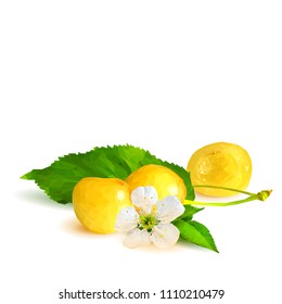 Fresh and tasty yellow cherries. Bloom of cherries. Symbols of berries. Elements for label design. Vector illustration. Berries ingredients in triangulation technique. Yellow cherries low poly.