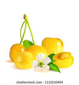 Fresh and tasty yellow cherries. Bloom of cherries. Symbols of berries. Elements for label design. Vector illustration. Berries ingredients in triangulation technique. Yellow cherries low poly.