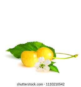 Fresh and tasty yellow cherries. Bloom of cherries. Symbols of berries. Elements for label design. Vector illustration. Berries ingredients in triangulation technique. Yellow cherries low poly.