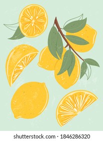 Fresh textured lemon fruits on branch with leaves vector hand drawn illustration. Lemon slices, half slices lemon. Lemonade, vitamin c, tasty and juicy fruits on green background.