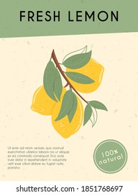 Fresh textured lemon fruits on branch with leaves vector hand drawn card design with text. Lemonade, vitamin c, tasty and juicy fruits poster design.
